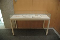代表画像